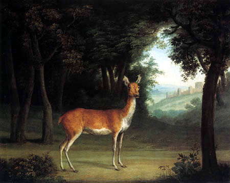 Jacques-Laurent Agasse - Un ciervo en un bosque