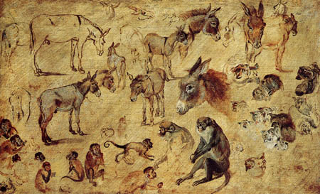 Jan Brueghel the Elder - Study of animals