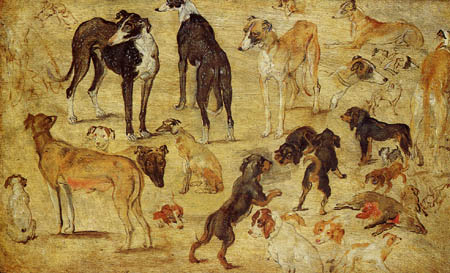 Jan Brueghel el Viejo - Estudio de animales