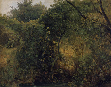 Carl Gustav Carus - Wooded landscape, Pillnitz