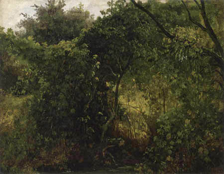 Carl Gustav Carus - Arbustos en Pillnitz
