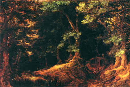 Gillis van Coninxloo III - Forest Landscape