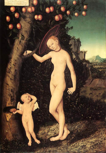 Lucas Cranach l´Ancien - Vénus et Cupidon comme un voleur de miel