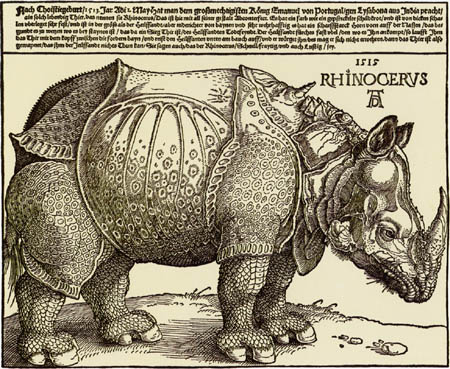 Albrecht Dürer - Rhinocerus
