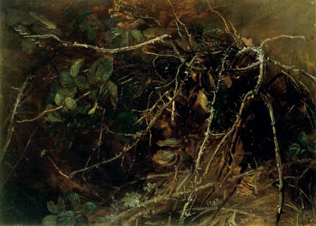 Christian F. Gille - Brambles in the Undergrowth