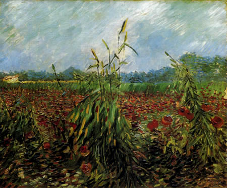 Vincent van Gogh - Grüne Kornhalme