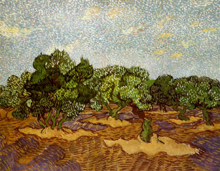 Vincent van Gogh - Olivenhain