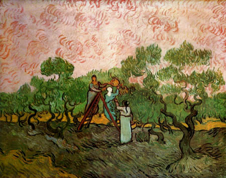 Vincent van Gogh - Olivenpflücker
