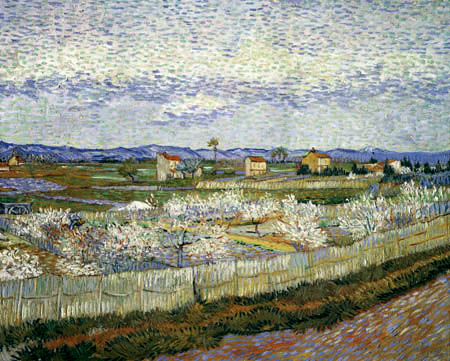 Vincent van Gogh - The plane La Crau near Arles
