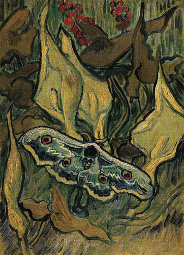 Vincent van Gogh - Saturnia pavonia