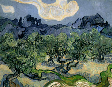 Vincent van Gogh - Olive trees