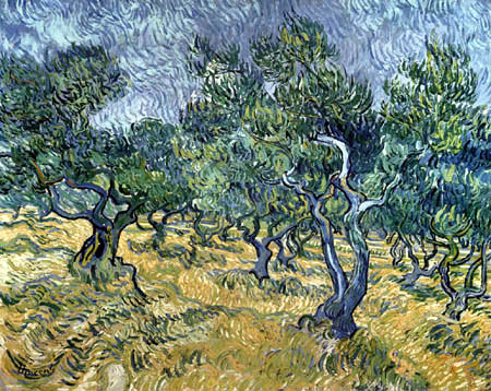 Vincent van Gogh - El Olivar