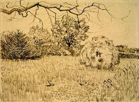 Vincent van Gogh - Park mit Strauch