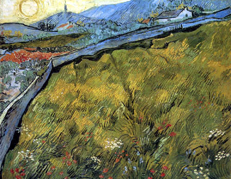 Vincent van Gogh - Grünes Kornfeld bei Sonnenaufgang