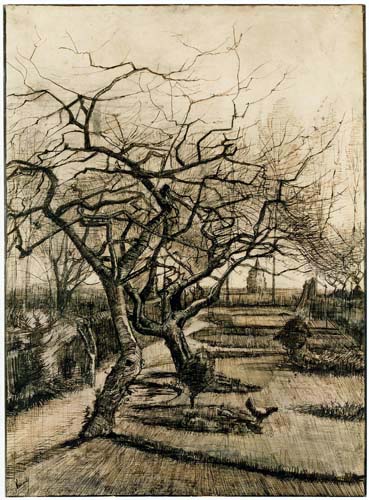 Vincent van Gogh -  El jardín de la casa parroquial en Nuenen