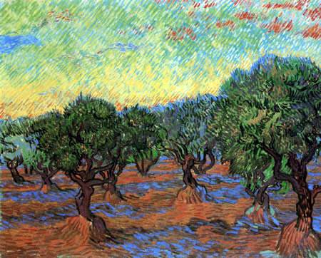 Vincent van Gogh - Oliveraie