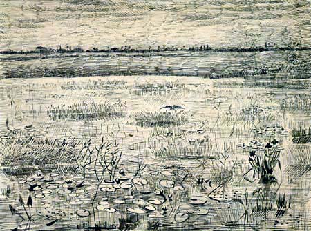 Vincent van Gogh - Marsh landscape with water lilies