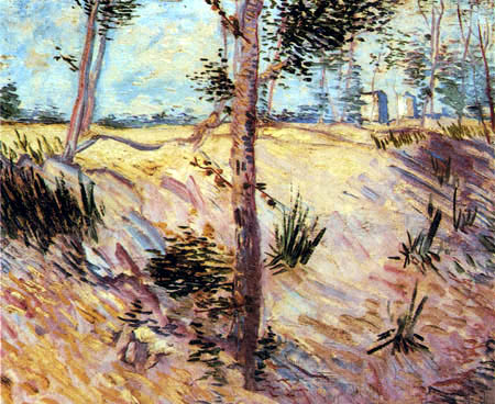 Vincent van Gogh - Tree trunks in sunlight