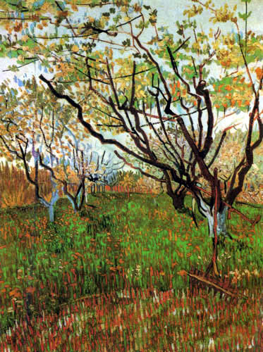 Vincent van Gogh - Huerta en flor