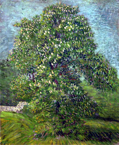 Vincent van Gogh - Blühender Kastanienbaum