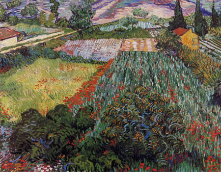 Vincent van Gogh - Le champ de pavot
