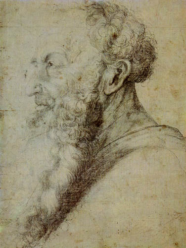 Matthias (Matthaeus, Mathis) Grünewald (Grün) - Portrait of Guido Guersi