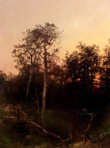 Hermann Herzog - Florida Sunset