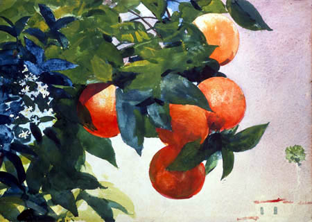 Winslow Homer - Naranjas en una sucursal