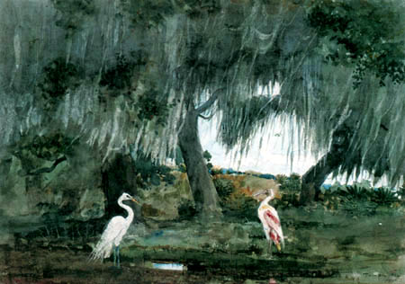 Winslow Homer - Tampa