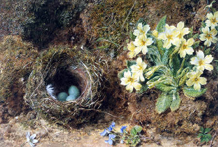 William Henry Hunt - Bodegón con nido de pájaro