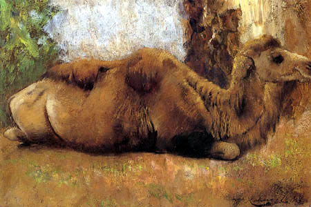 Wilhelm Kuhnert - Camel