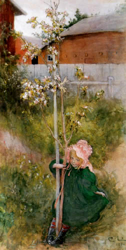 Carl Olof Larsson - Apfelblüte