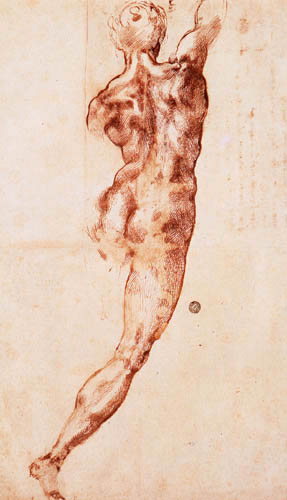 Michelangelo - Back view of a nude