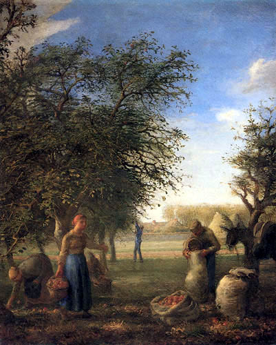 Jean-François Millet - Récolte de pomme