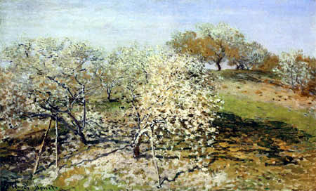Claude Oscar Monet - Blühende Aprikosenbäume