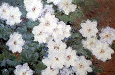 Claude Oscar Monet - Clématites