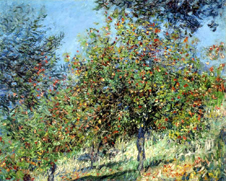 Claude Oscar Monet - Apfelbäume an der Cote de Chantemesle