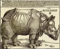 0142-0107_rhinocerus.jpg