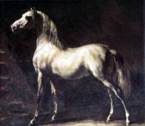 cheval_arabe_gris-blanc.jpg