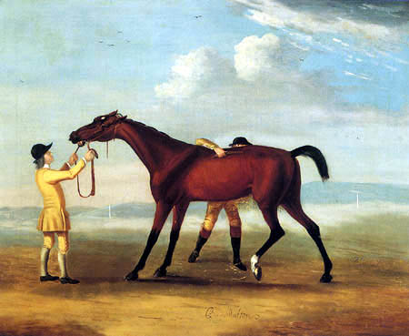 Francis Sartorius - Bay Malton, A Bay Racehorse