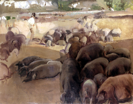Joaquín Sorolla y Bastida - Pig Breeding