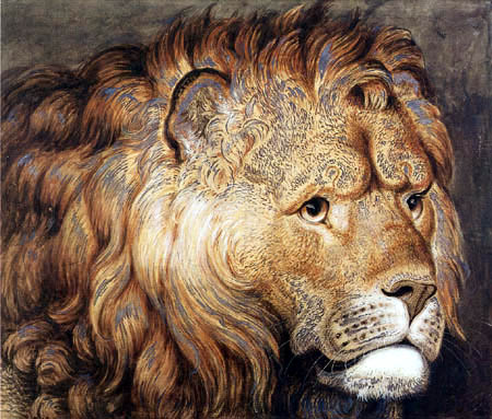 J. Heinrich Wilhelm Tischbein - Kopf eines Löwen
