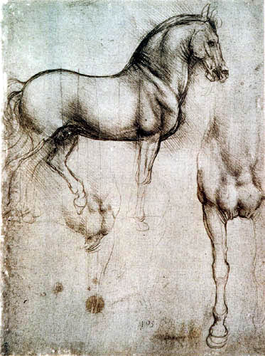 Leonardo da Vinci - Horse study